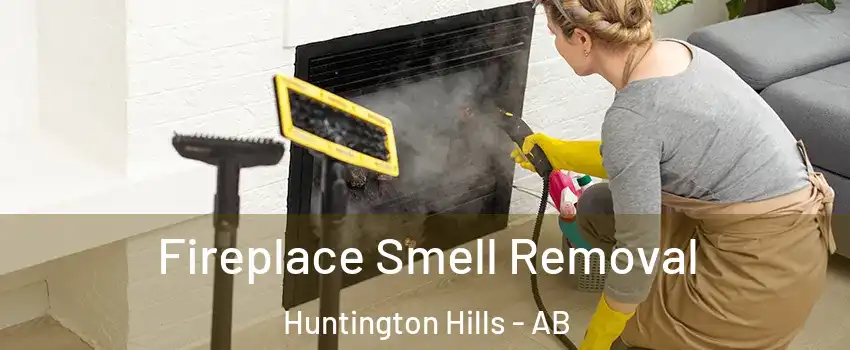 Fireplace Smell Removal Huntington Hills - AB