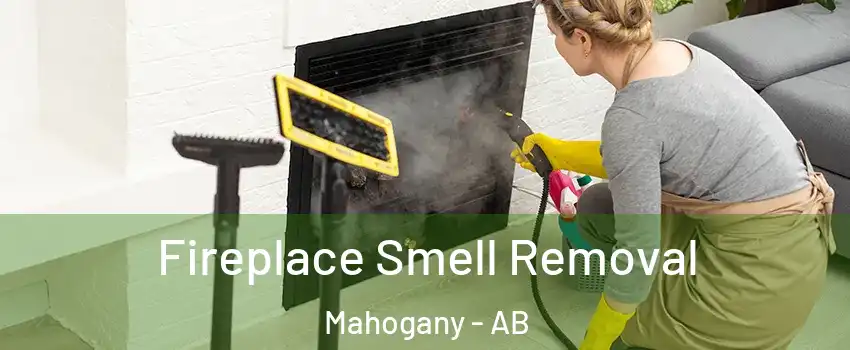 Fireplace Smell Removal Mahogany - AB