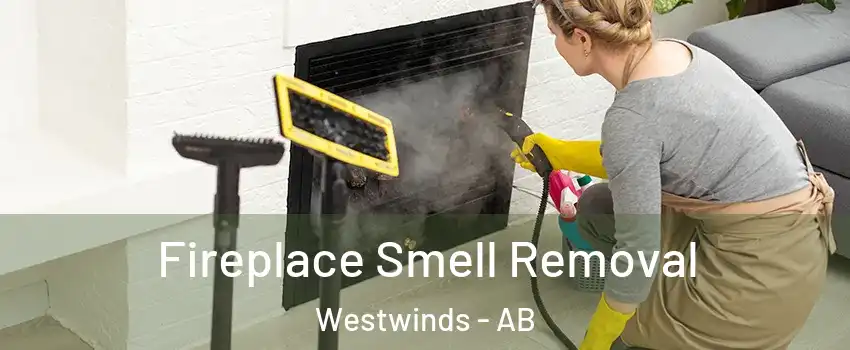 Fireplace Smell Removal Westwinds - AB