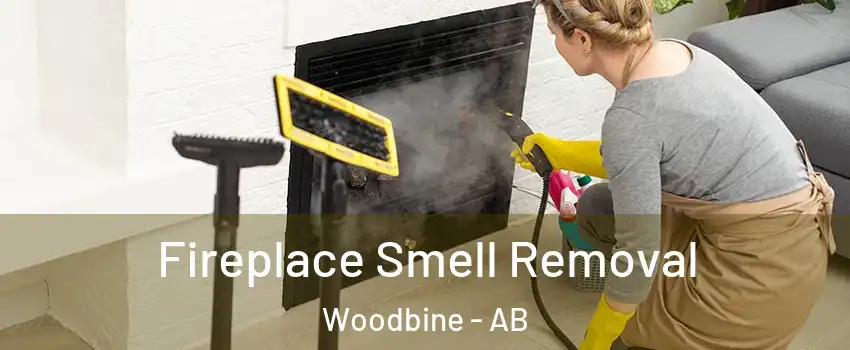 Fireplace Smell Removal Woodbine - AB