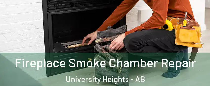 Fireplace Smoke Chamber Repair University Heights - AB