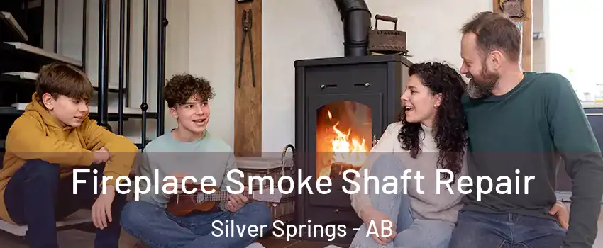 Fireplace Smoke Shaft Repair Silver Springs - AB