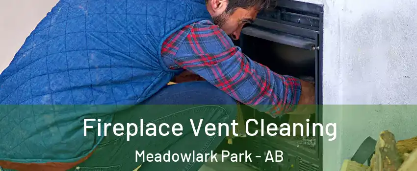 Fireplace Vent Cleaning Meadowlark Park - AB