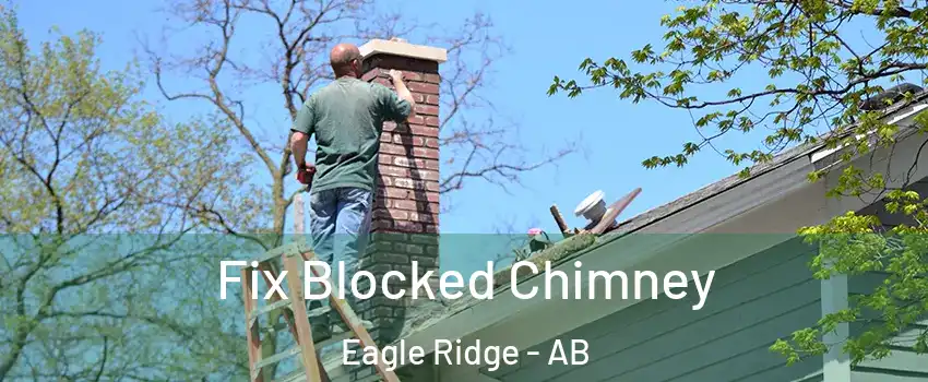 Fix Blocked Chimney Eagle Ridge - AB