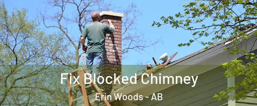 Fix Blocked Chimney Erin Woods - AB