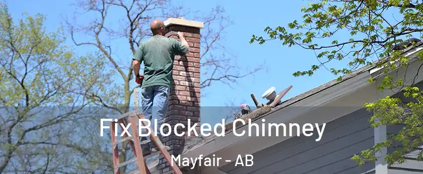Fix Blocked Chimney Mayfair - AB