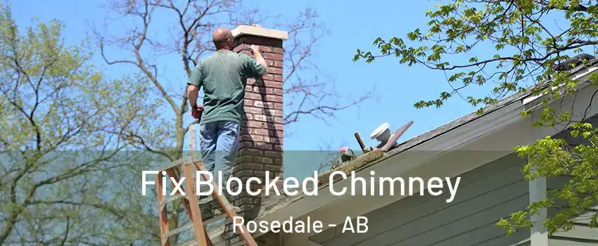Fix Blocked Chimney Rosedale - AB