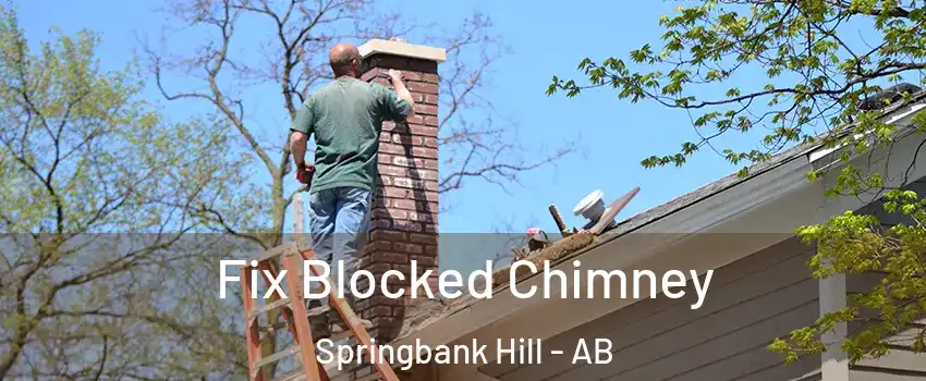Fix Blocked Chimney Springbank Hill - AB