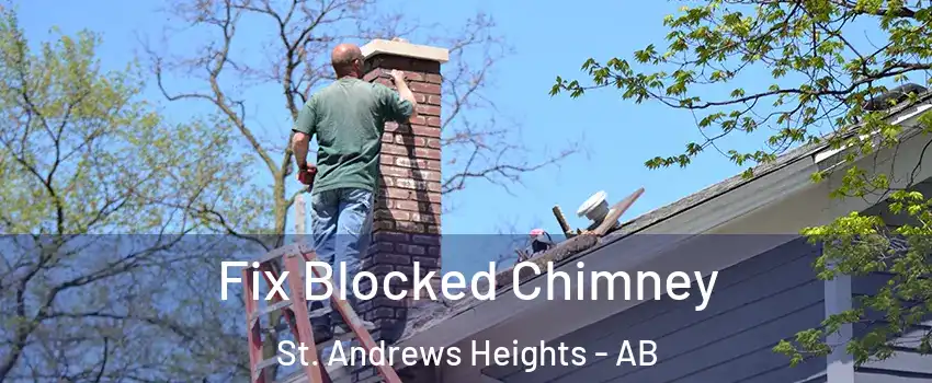 Fix Blocked Chimney St. Andrews Heights - AB