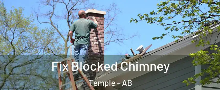 Fix Blocked Chimney Temple - AB