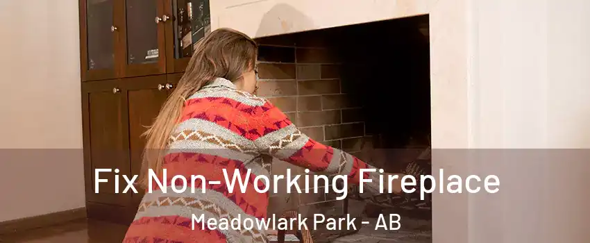 Fix Non-Working Fireplace Meadowlark Park - AB