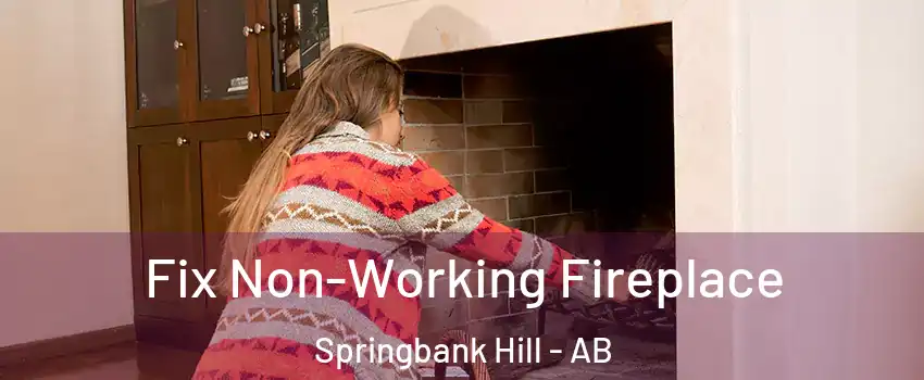 Fix Non-Working Fireplace Springbank Hill - AB
