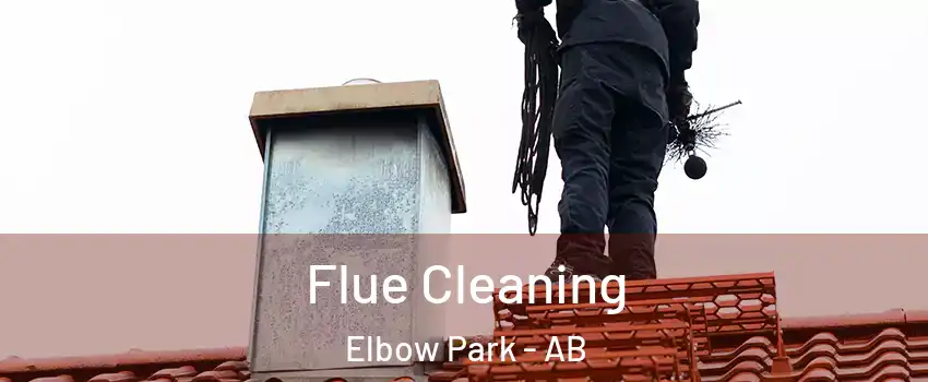 Flue Cleaning Elbow Park - AB