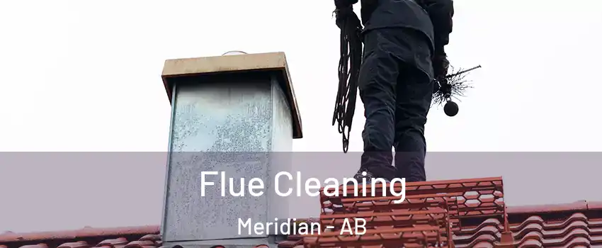 Flue Cleaning Meridian - AB