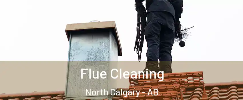 Flue Cleaning North Calgary - AB