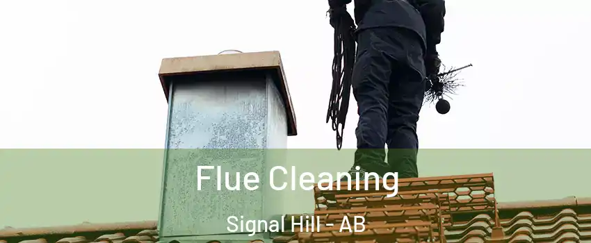 Flue Cleaning Signal Hill - AB