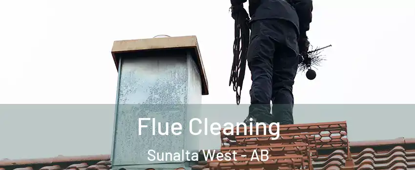 Flue Cleaning Sunalta West - AB