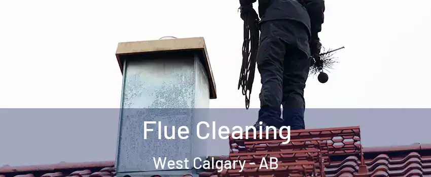Flue Cleaning West Calgary - AB