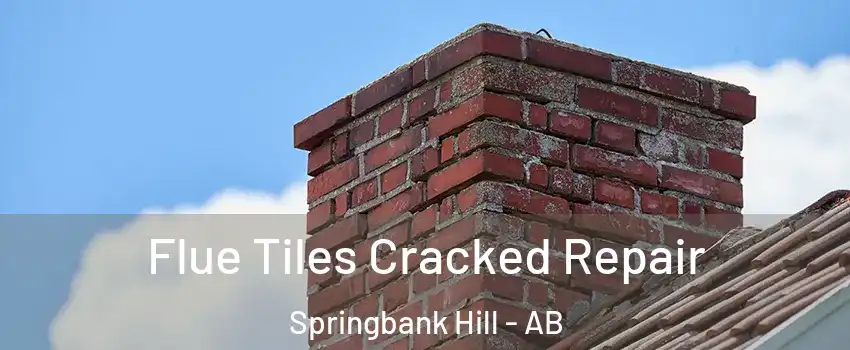 Flue Tiles Cracked Repair Springbank Hill - AB