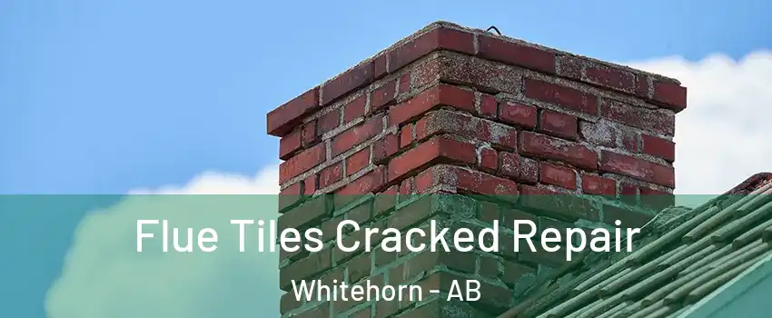 Flue Tiles Cracked Repair Whitehorn - AB
