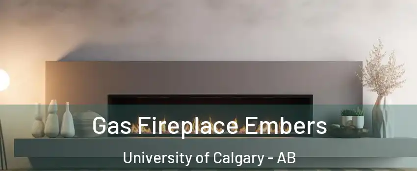 Gas Fireplace Embers University of Calgary - AB