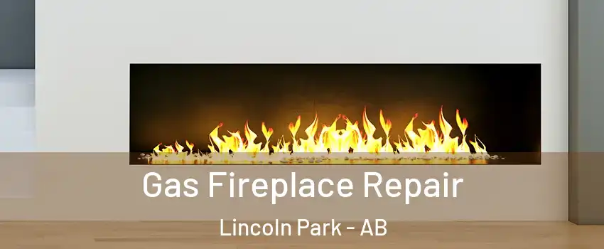 Gas Fireplace Repair Lincoln Park - AB