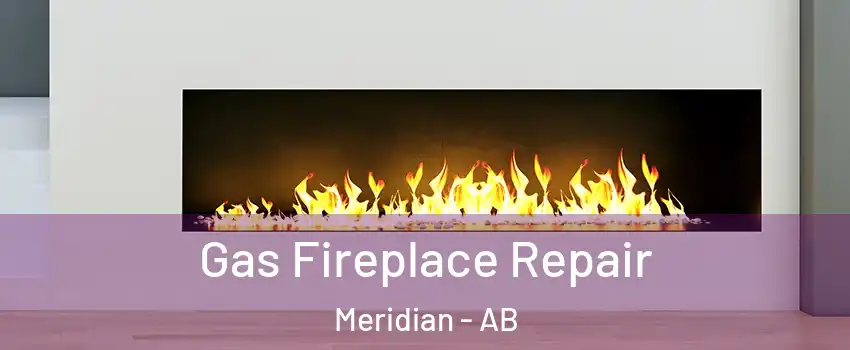 Gas Fireplace Repair Meridian - AB
