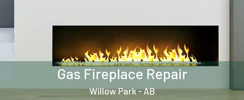 Gas Fireplace Repair Willow Park - AB