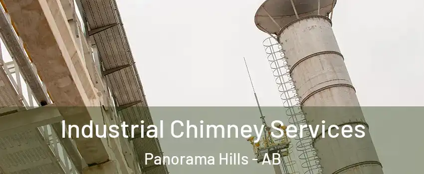 Industrial Chimney Services Panorama Hills - AB
