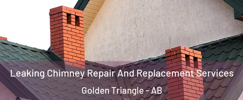 Leaking Chimney Repair And Replacement Services Golden Triangle - AB