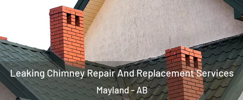 Leaking Chimney Repair And Replacement Services Mayland - AB