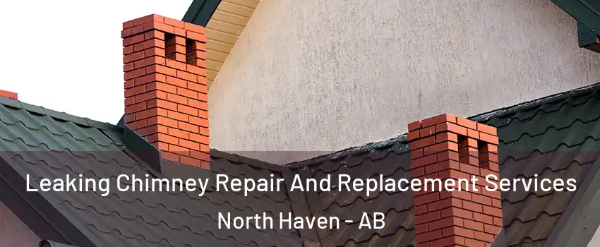 Leaking Chimney Repair And Replacement Services North Haven - AB