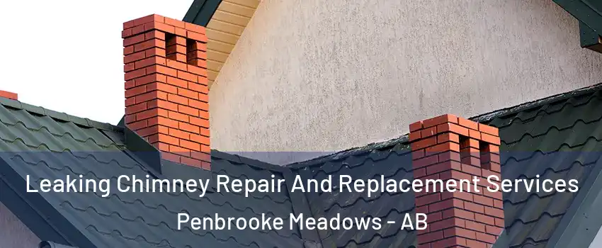 Leaking Chimney Repair And Replacement Services Penbrooke Meadows - AB
