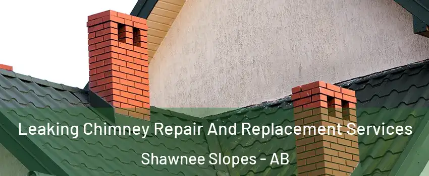Leaking Chimney Repair And Replacement Services Shawnee Slopes - AB