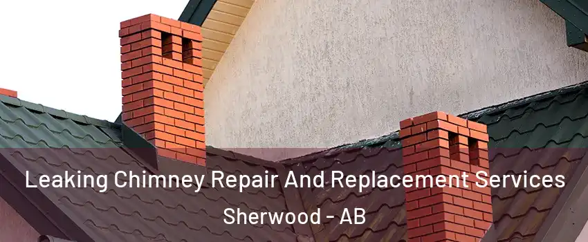 Leaking Chimney Repair And Replacement Services Sherwood - AB