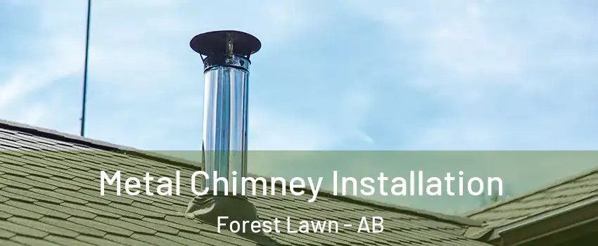 Metal Chimney Installation Forest Lawn - AB
