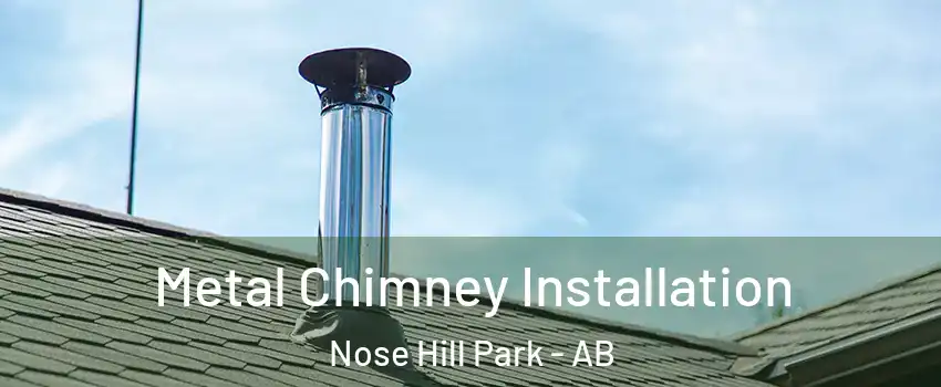 Metal Chimney Installation Nose Hill Park - AB