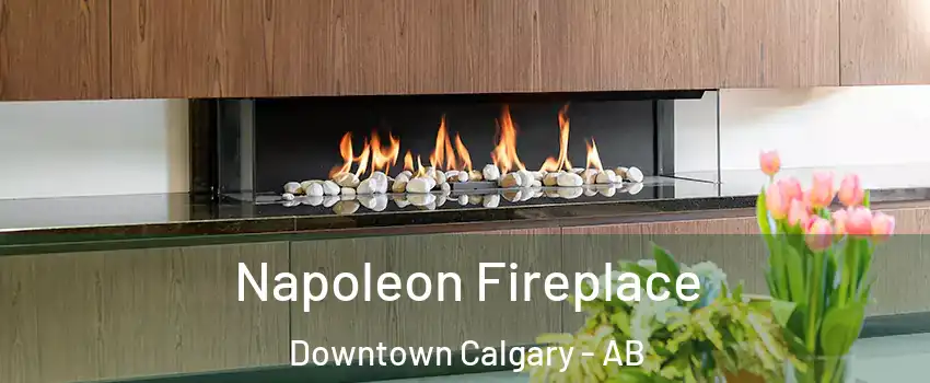 Napoleon Fireplace Downtown Calgary - AB