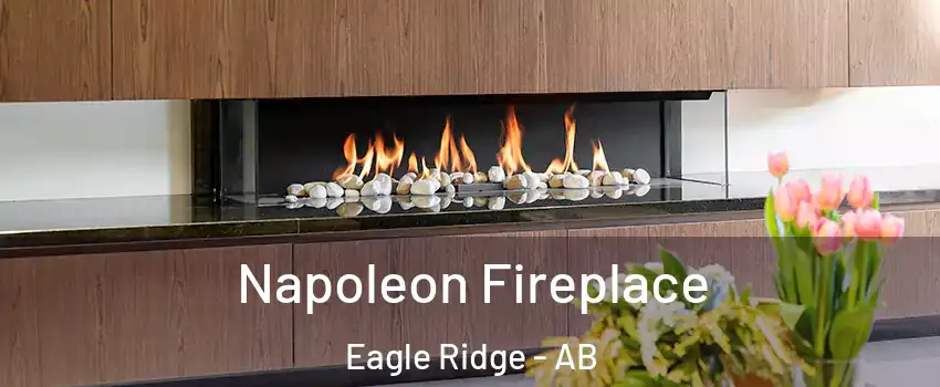 Napoleon Fireplace Eagle Ridge - AB