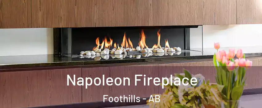 Napoleon Fireplace Foothills - AB