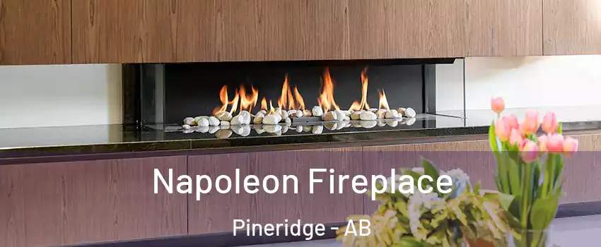 Napoleon Fireplace Pineridge - AB
