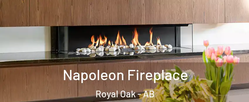 Napoleon Fireplace Royal Oak - AB