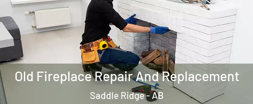 Old Fireplace Repair And Replacement Saddle Ridge - AB