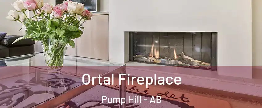 Ortal Fireplace Pump Hill - AB