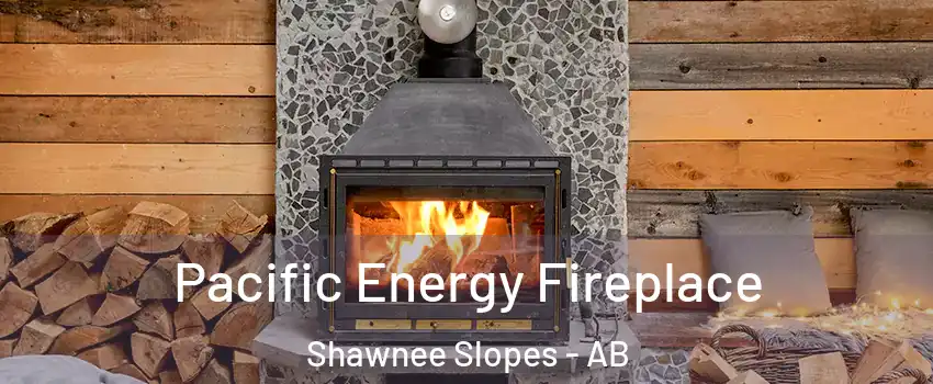 Pacific Energy Fireplace Shawnee Slopes - AB