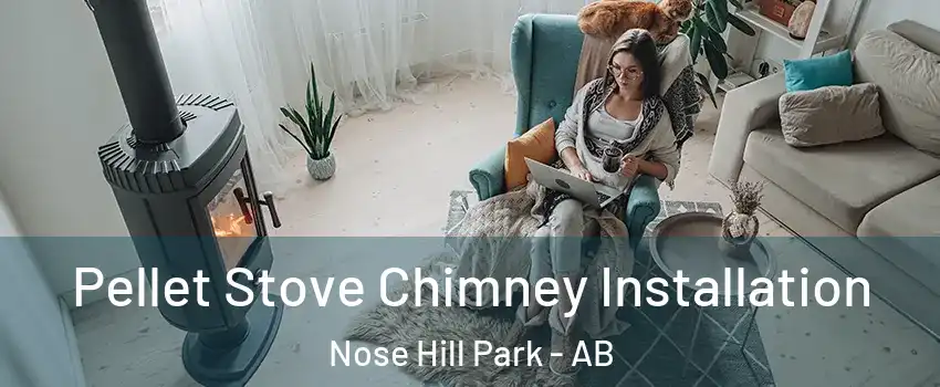 Pellet Stove Chimney Installation Nose Hill Park - AB
