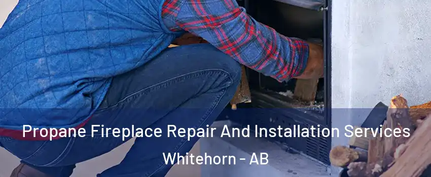Propane Fireplace Repair And Installation Services Whitehorn - AB