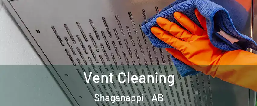 Vent Cleaning Shaganappi - AB