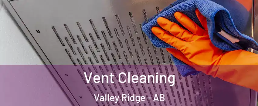 Vent Cleaning Valley Ridge - AB